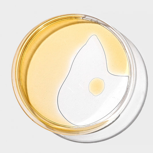 Pourquoi la vitamine C booste l'éclat de la peau ?