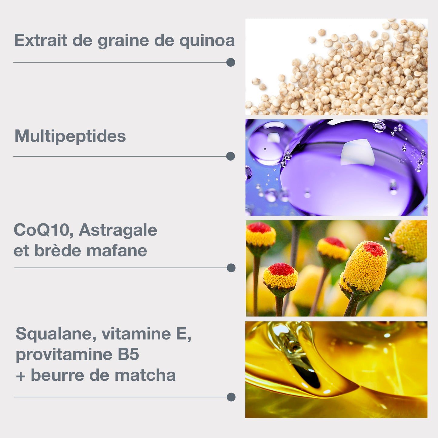 phyto nature lifting eye cream | crème contour des yeux liftante et raffermissante