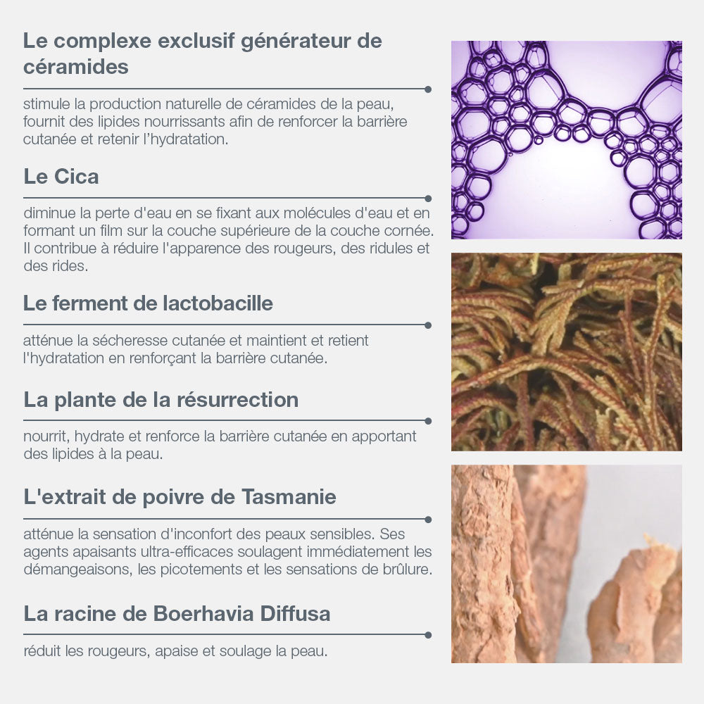 stabilizing repair cream | baume réparateur aux céramides
