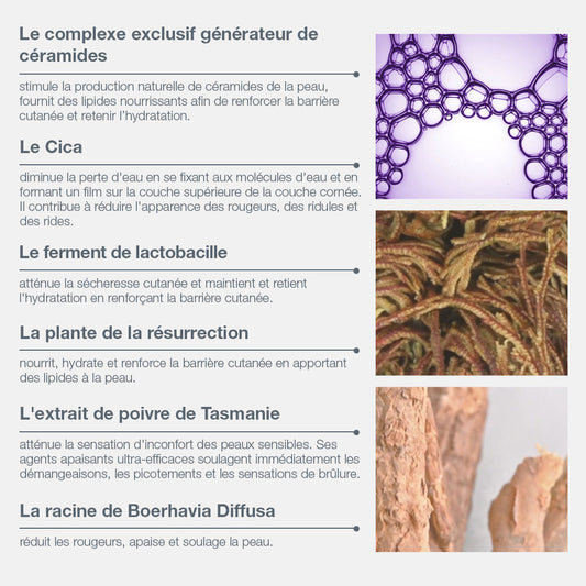 stabilizing repair cream |  baume réparateur aux céramides
