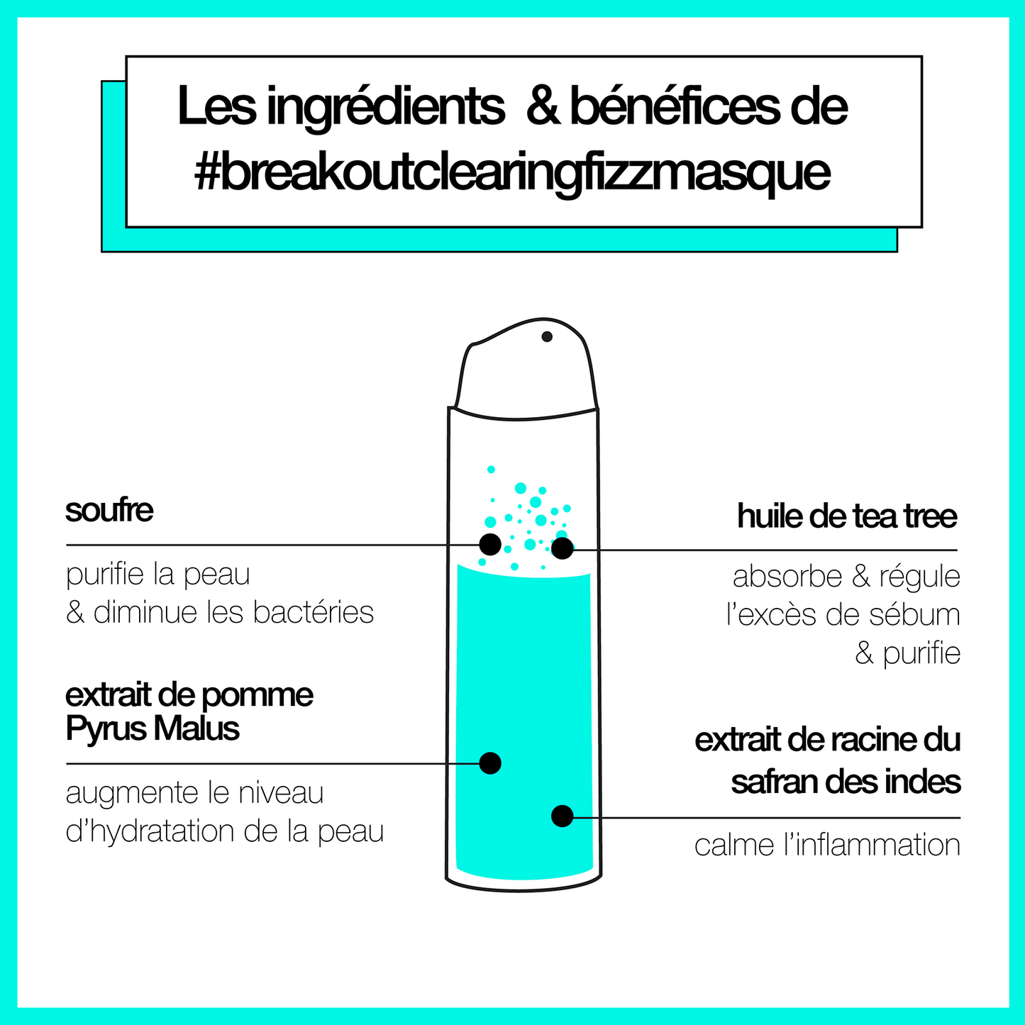 bundle - blackhead clearing fizz mask