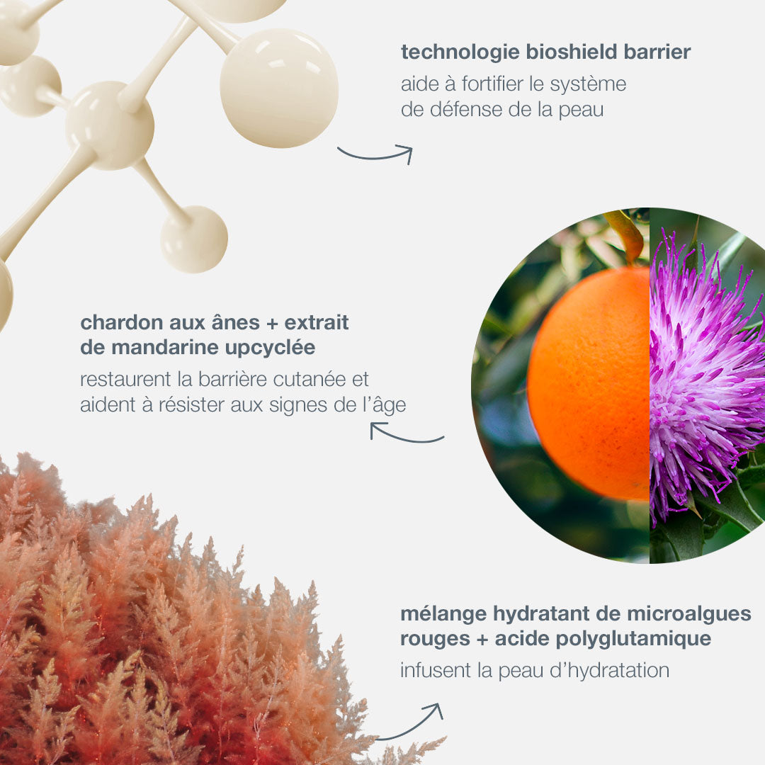dynamic skin strengthening serum | sérum fortifiant aux peptides