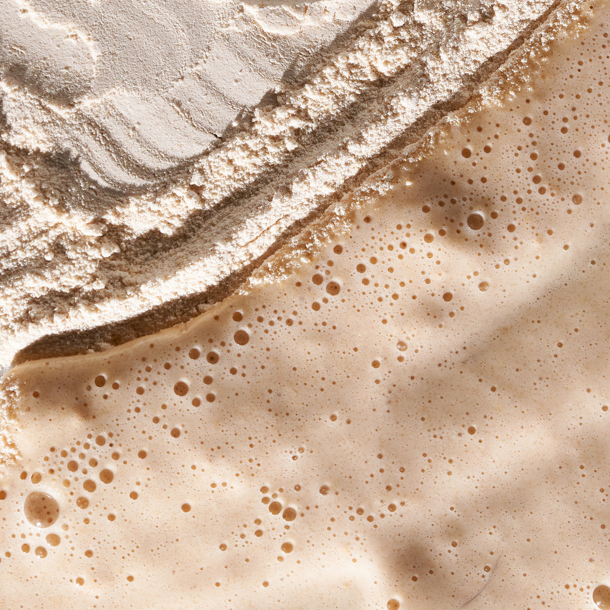 poudre exfoliante Daily Milkfoliant | Exfoliant visage doux apaisant quotidien peaux sensibles