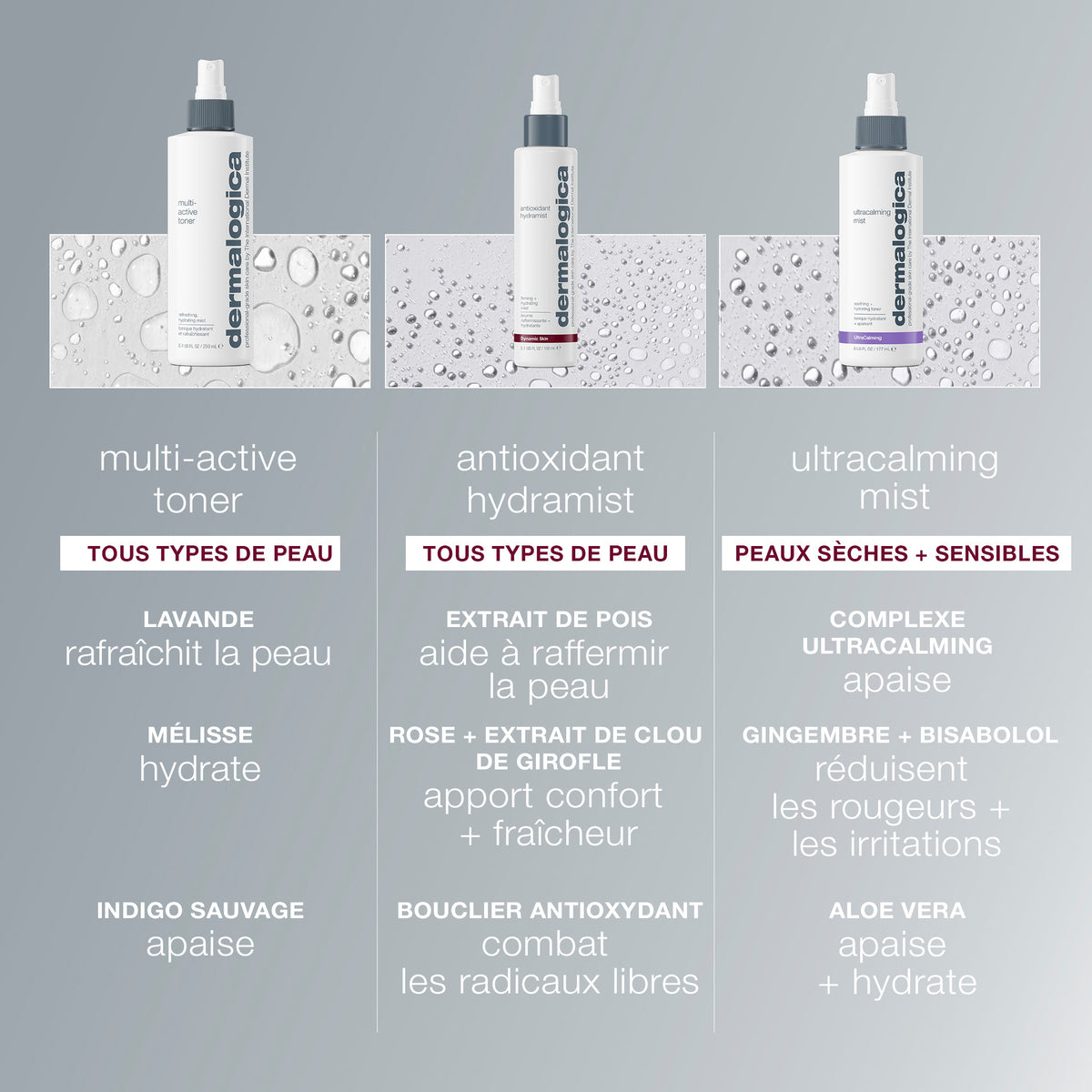 antioxidant hydramist | brume visage antioxydante anti-âge