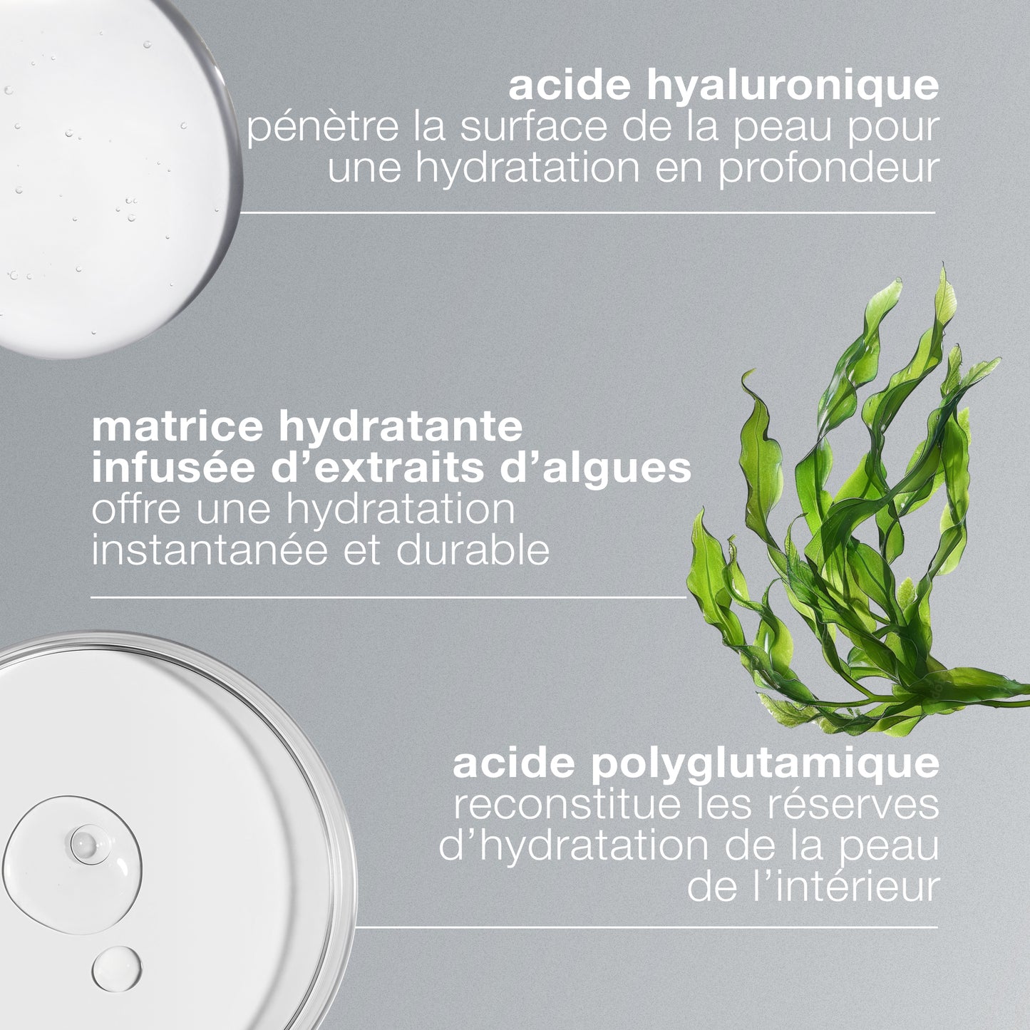circular hydration serum | sérum hydratant à l'acide hyaluronique
