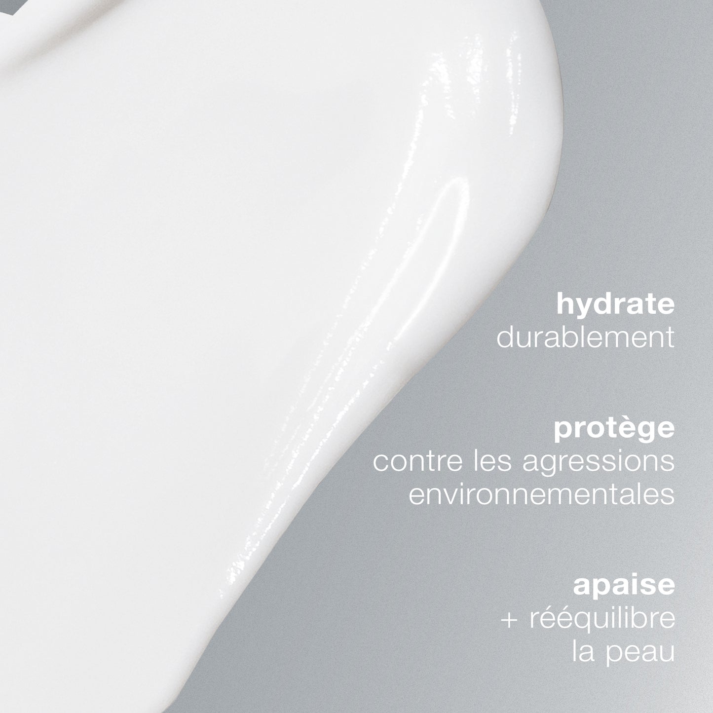 skin smoothing cream | hydratant universel 48h